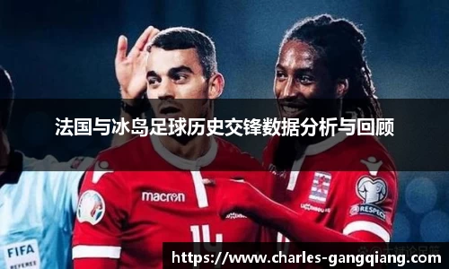 法国与冰岛足球历史交锋数据分析与回顾